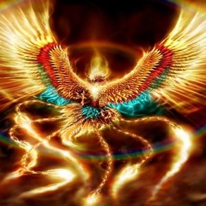 Meet your Posher, Cesar